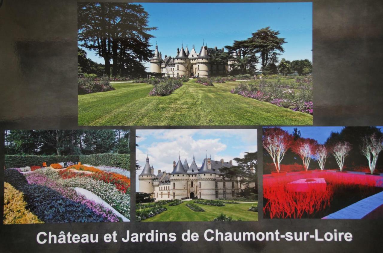 Sur Les Toits D'Amboise公寓 外观 照片